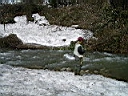 2006-05-10 006.JPG